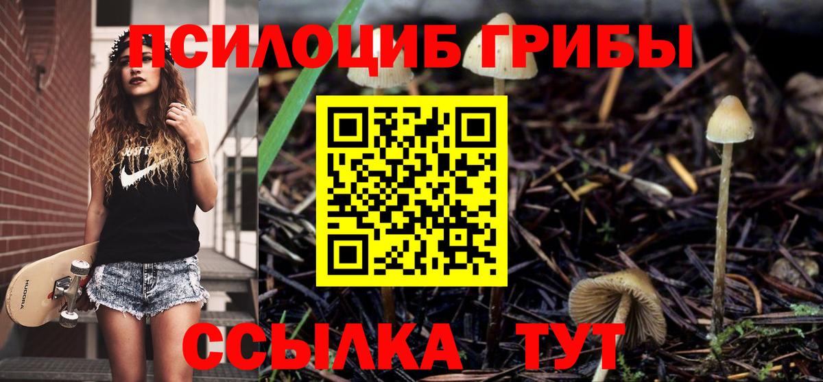 Галлюциногенные грибы Magic Shrooms Балашов